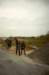 blankenberge001jpg_small.jpg
