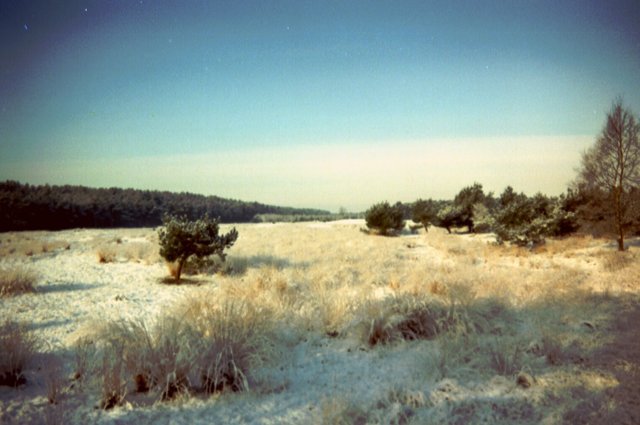 lommel001jpg.jpg