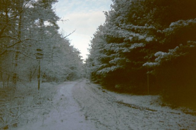 lommel003jpg.jpg