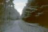 lommel003jpg_small.jpg