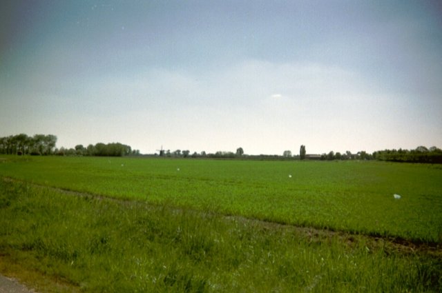 ratingen005jpg.jpg