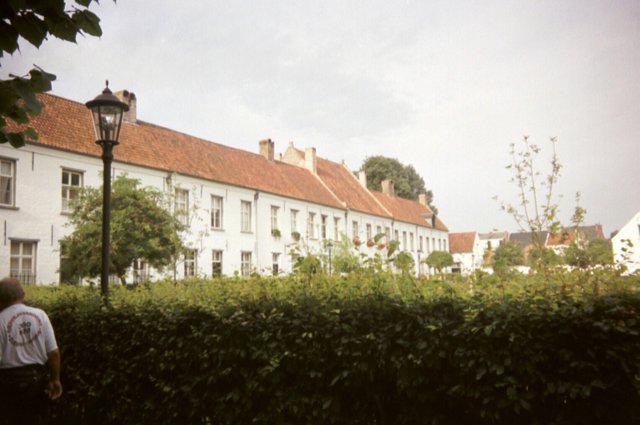 wortel002jpg.jpg