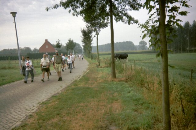 wortel003jpg.jpg