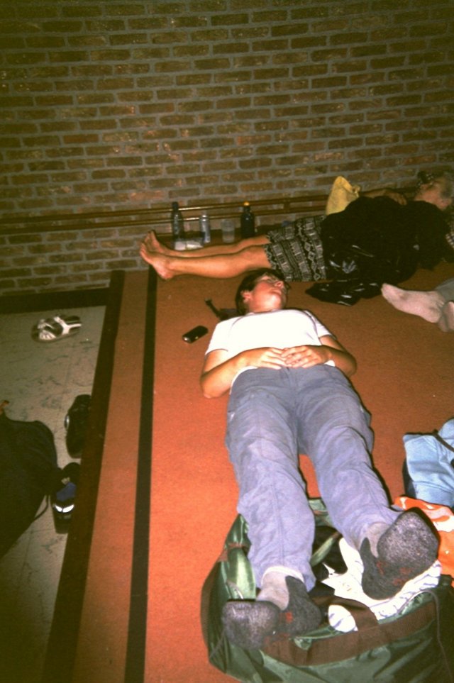 wortel006jpg.jpg