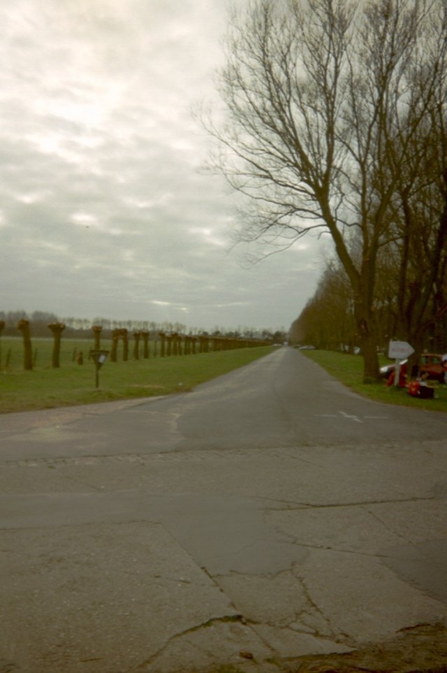 wortel008jpg.jpg