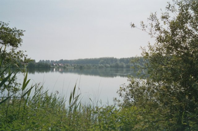 jpg4.jpg
