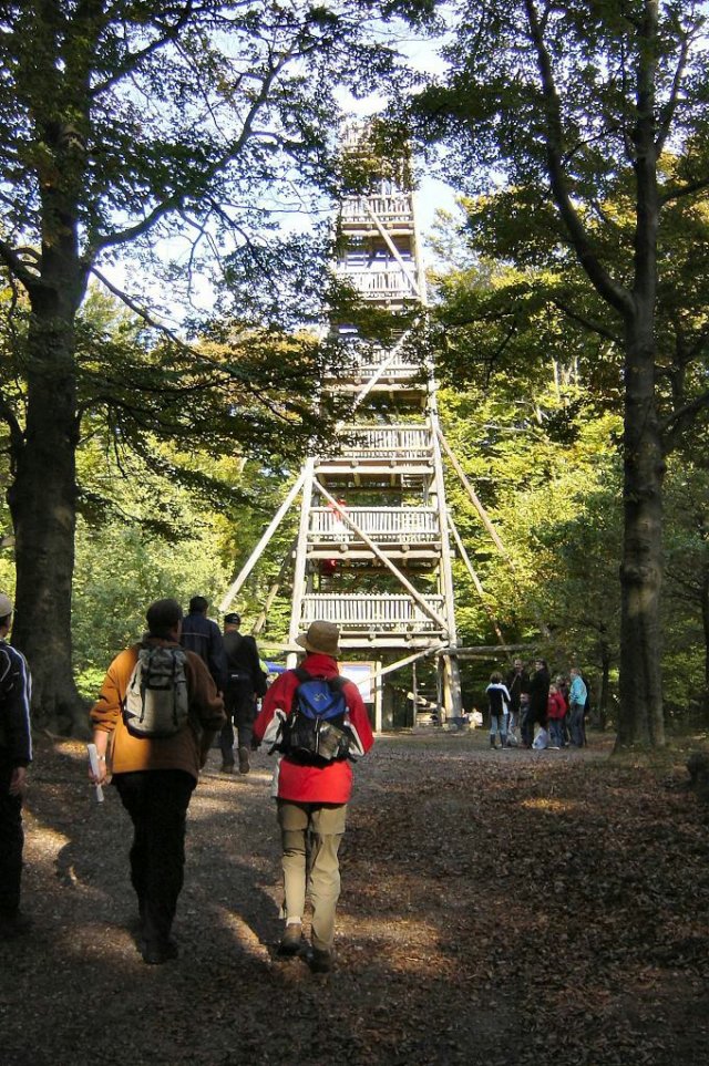 jpg24.jpg