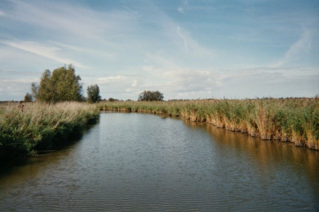jpg10.jpg