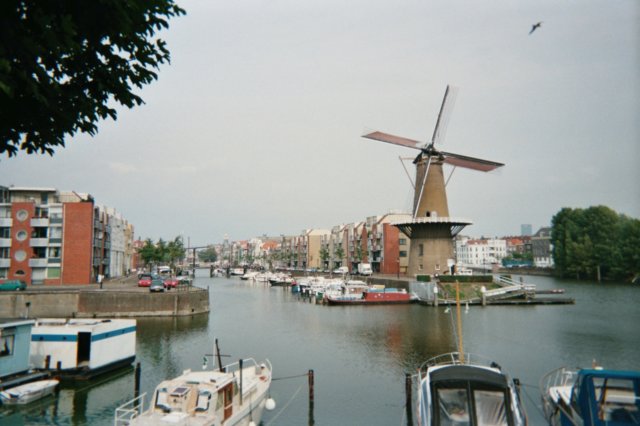 jpg34.jpg