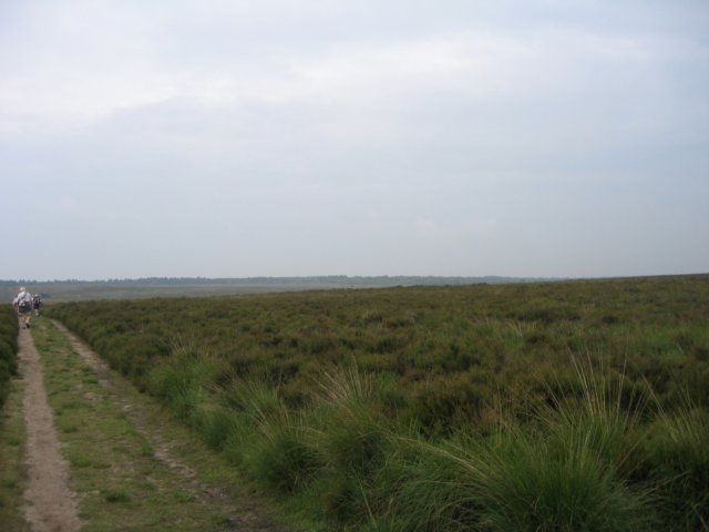 img_0559.jpg