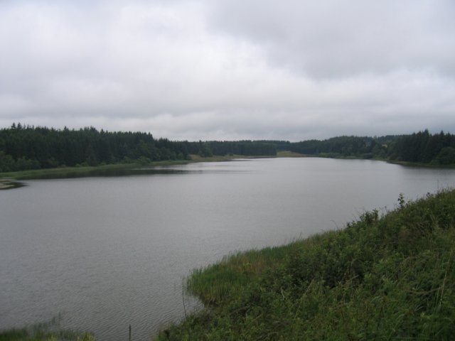 img_0477.jpg