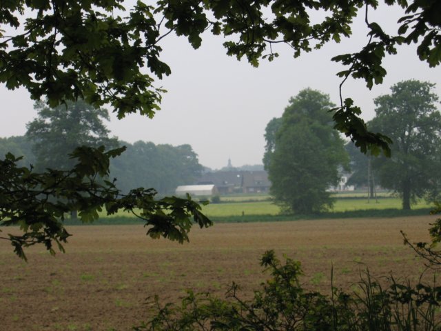photo6.jpg