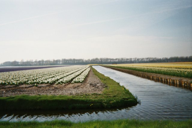 photo11.jpg