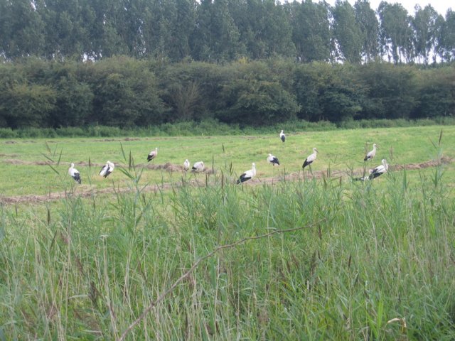 img_0687.jpg