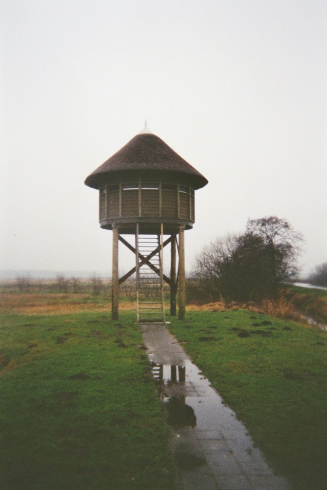photo8.jpg