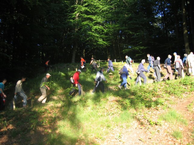 photo11.jpg
