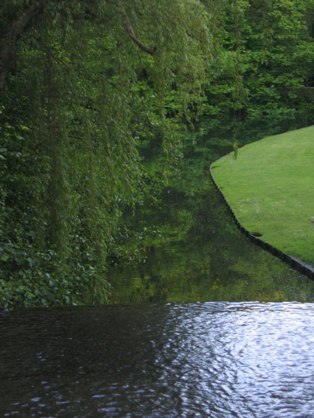 photo39.jpg