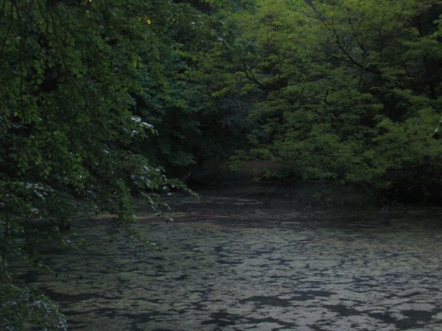 photo51.jpg