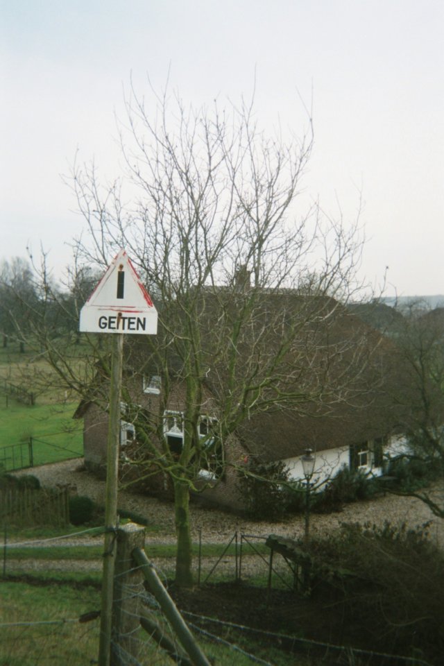 photo9.jpg