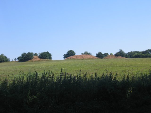 img_2066.jpg