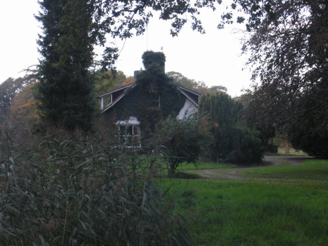 img_2965.jpg