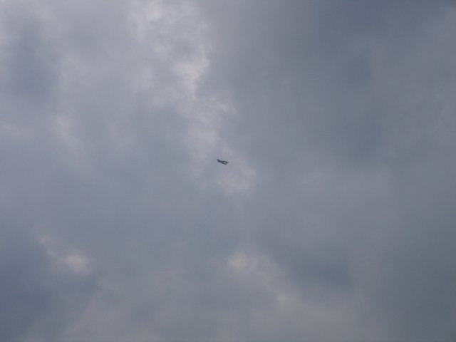 img_1675.jpg