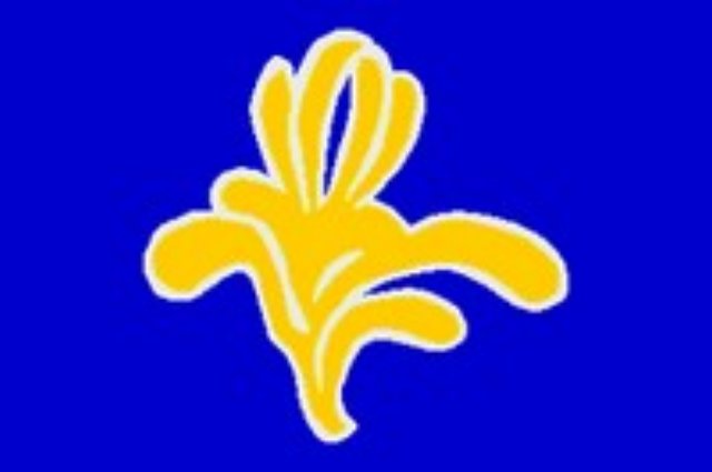 provincievlaggewestbrussel.jpg