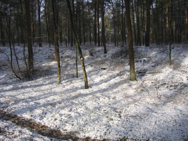 img_3354.jpg