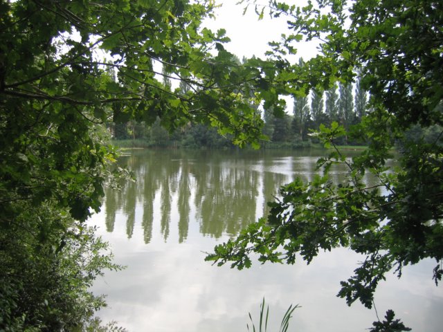 img_2286.jpg