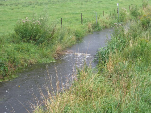 img_2307.jpg