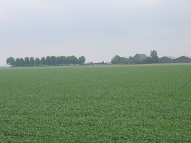 img_1860.jpg
