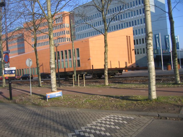 img_3806.jpg