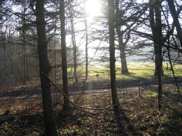 img_3813.jpg