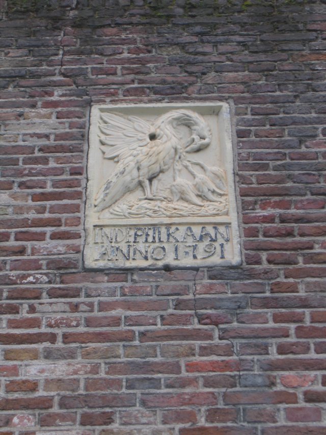 img_4466.jpg