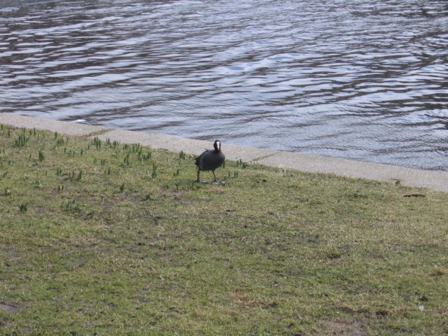 img_4506.jpg