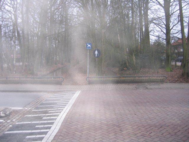 img_3947.jpg