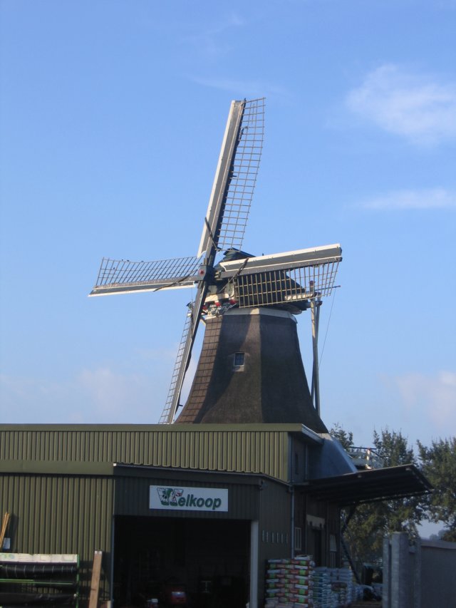 img_6019.jpg