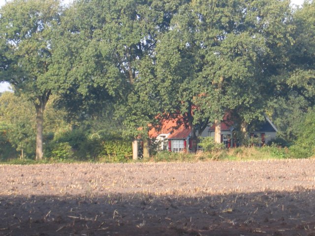 img_6026.jpg