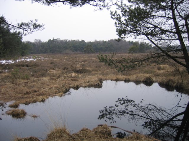 img_4302.jpg