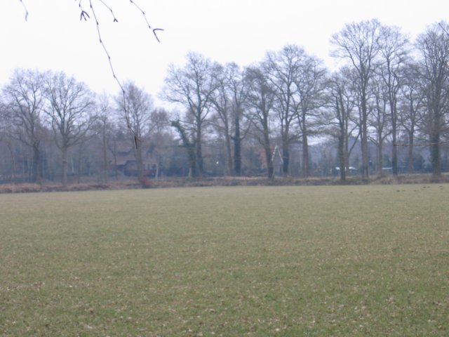 img_4310.jpg