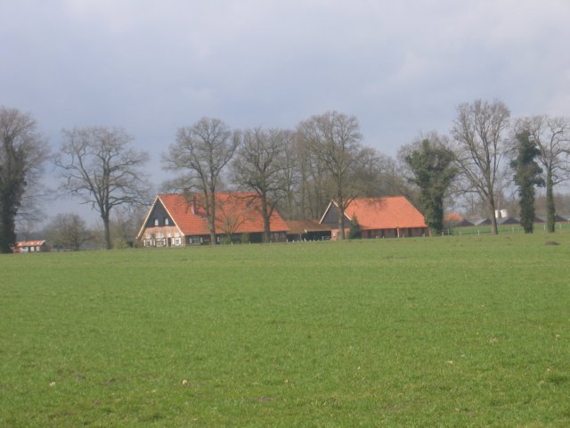 img_4804.jpg