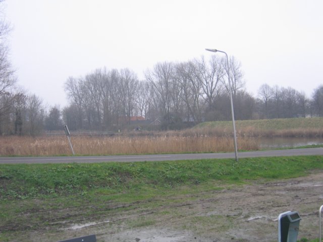 img_6593.jpg