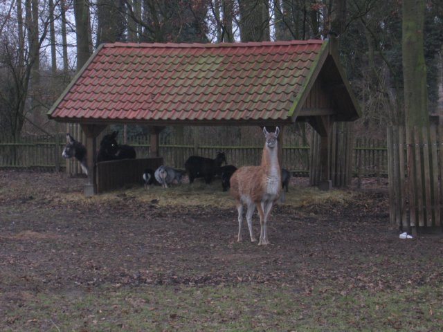 img_3716.jpg