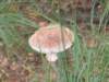 img_5999_small.jpg