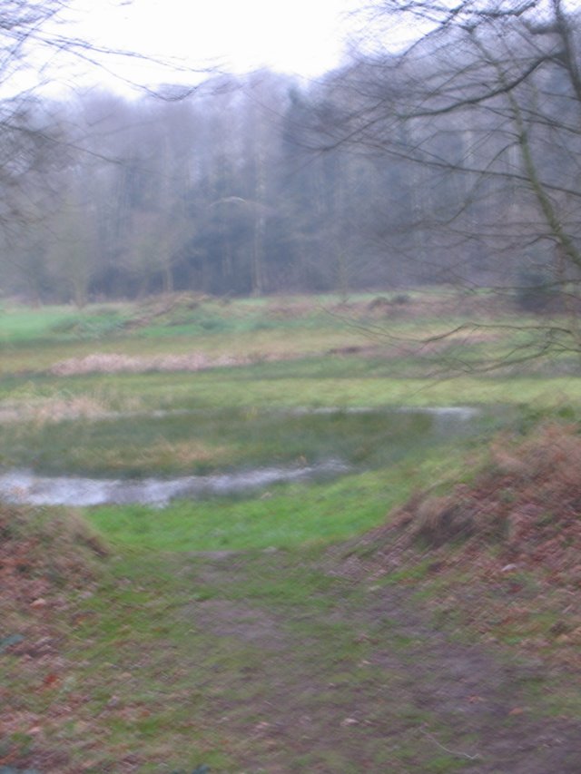 img_6540.jpg