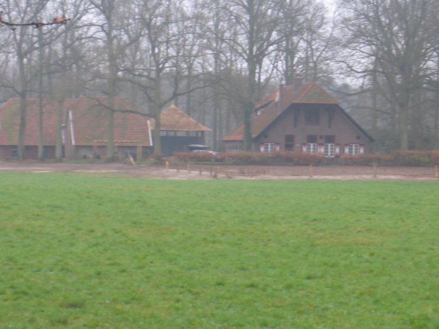 img_6556.jpg