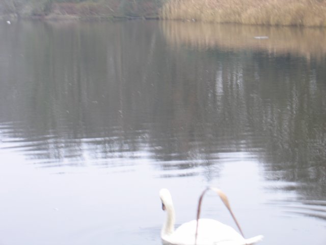 img_6566.jpg