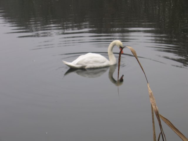 img_6567.jpg