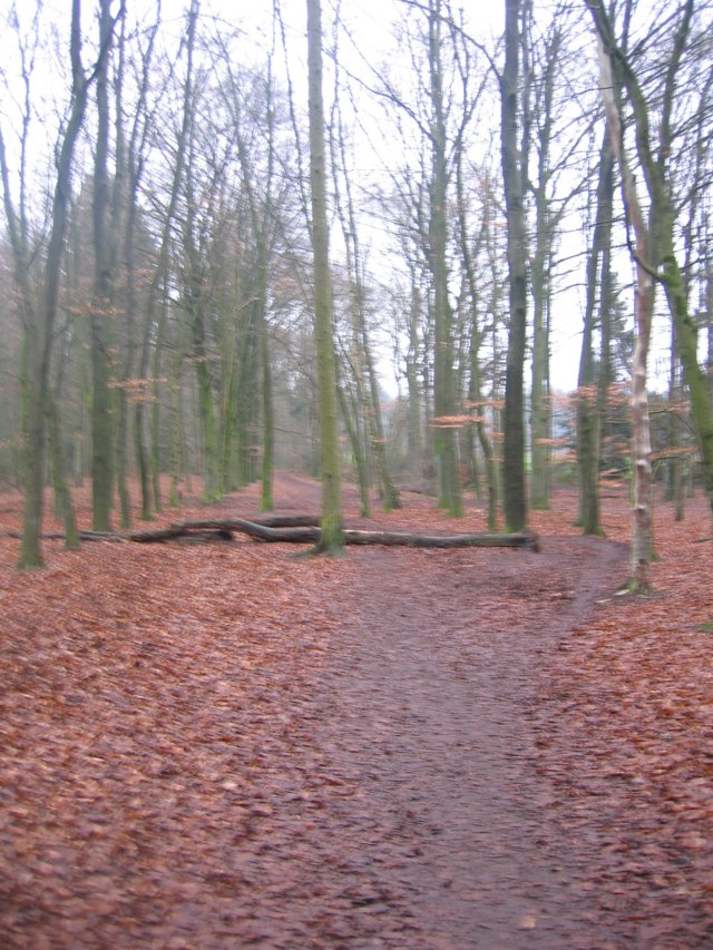 img_6575.jpg