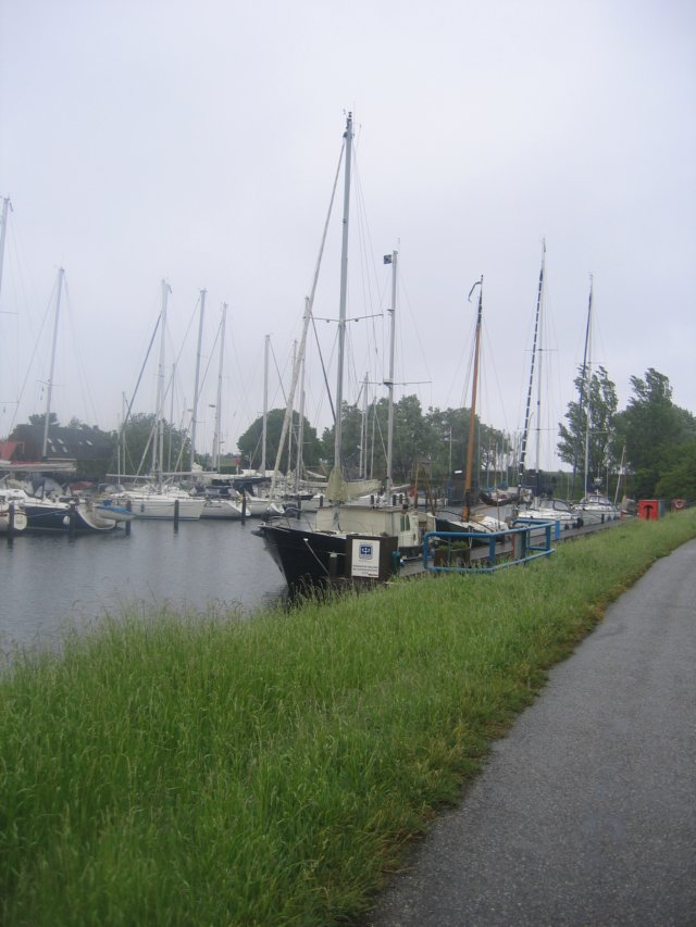 img_5253.jpg